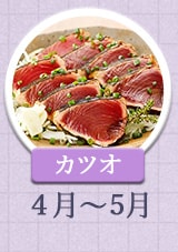 カツオ 4月～5月