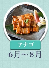 アナゴ 6月～8月