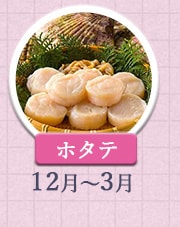 ホタテ 12月～3月