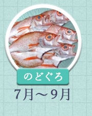 のどぐろ 7月～9月