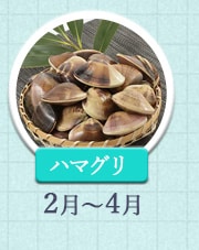ハマグリ 2月～4月