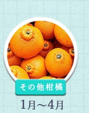 その他柑橘 1~4月