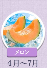 メロン 4月～7月