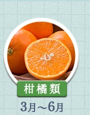 柑橘類 3月～6月