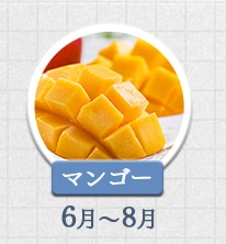 マンゴー 6月～8月