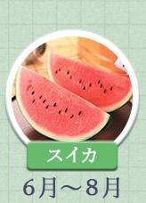すいか 6月～8月