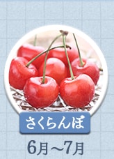 さくらんぼ 6月～7月