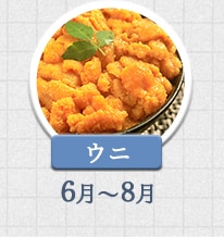ウニ 6月～8月