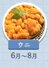 ウニ 6月～8月