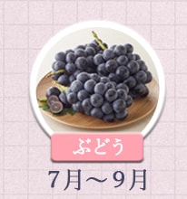 ぶどう 7月～9月