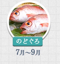 のどぐろ 7月～9月