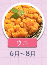 ウニ 6月～8月