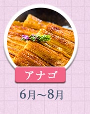 アナゴ 6月～8月