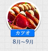 カツオ 8月～9月