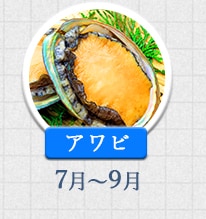 アワビ 7月～9月