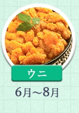 ウニ 6月～8月