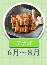 アナゴ 6月～8月