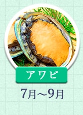 アワビ 7月～9月