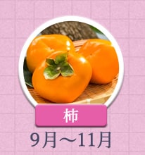 柿　9月～11月