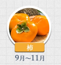 柿 9月～11月
