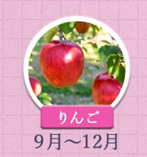 りんご 9月～12月