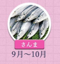 さんま 9月～10月