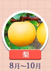 梨 8月～10月
