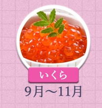 いくら 9月～11月