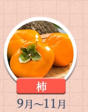 柿 9月～11月