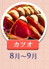 カツオ 8月～9月