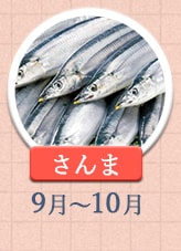 さんま 9月～10月