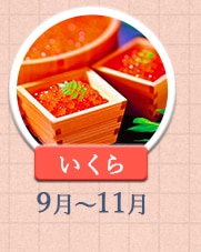 いくら 9月～11月