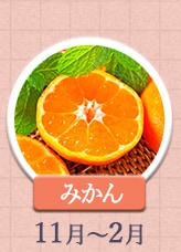 みかん 11月～2月