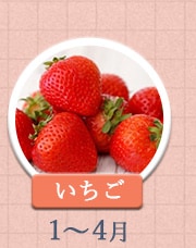 いちご 1~4月