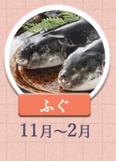 ふぐ 11月～2月