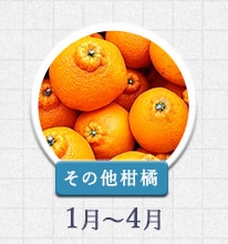 その他柑橘 1月～4月