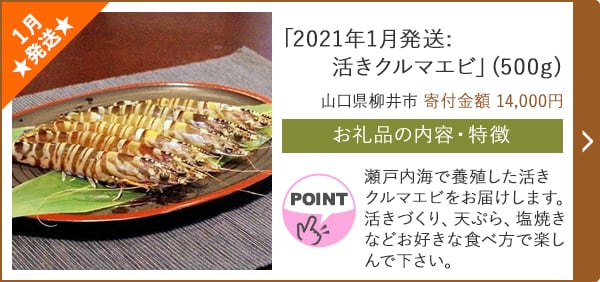 ★１月発送★「2021年1月発送:活きクルマエビ」(500g)/山口県柳井市 寄付金額 14,000円