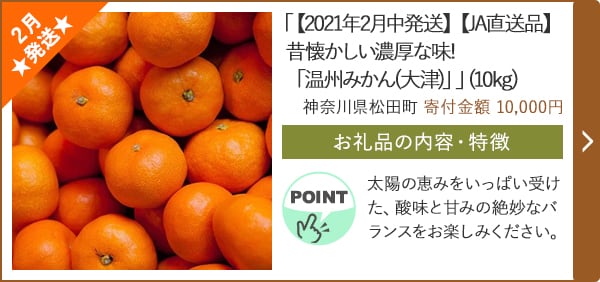 ★２月発送★「【2021年2月中発送】【JA直送品】昔懐かしい濃厚な味!「温州みかん(大津)」」(10kg)/神奈川県松田町 寄付金額 10,000円