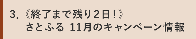 ３．《終了まで残り２日！》さとふる 11月のキャンペーン情報