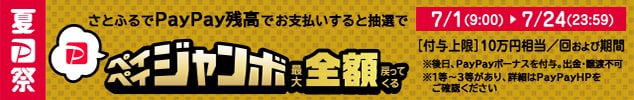 ＼PayPayで決済をすると抽選で最大全額戻ってくる！《夏のPayPay祭》開催中／