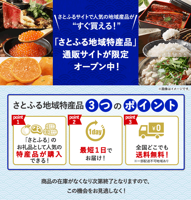 ＼さとふるサイトで人気の地域産品が『すぐ買える』！／「さとふる地域特産品」通販サイトオープン中！