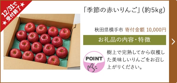 ★12/31で受付終了★「季節の赤いりんご」(約5kg)/秋田県横手市 寄付金額 10,000円
