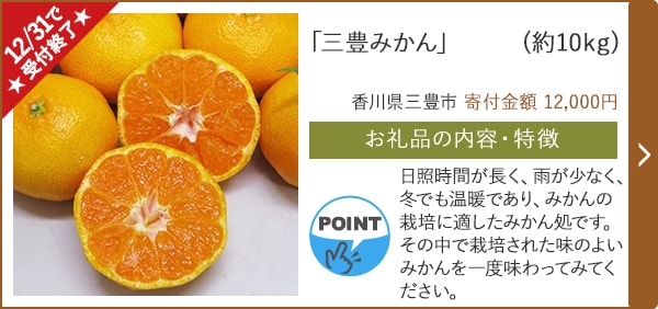 ★12/31で受付終了★「三豊みかん」(約10kg)/香川県三豊市 寄付金額 15,000円