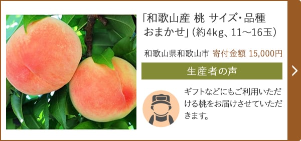 「和歌山産 桃 サイズ・品種おまかせ」(約4kg、11～16玉)/和歌山県和歌山市 寄付金額 15,000円