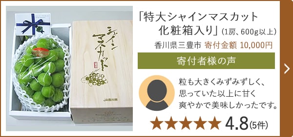 「特大シャインマスカット 化粧箱入り」(1房、600g以上) 香川県三豊市 寄付金額 10,000円