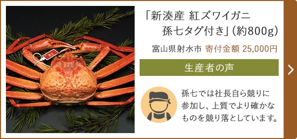 「新湊産 紅ズワイガニ 孫七タグ付き」(約800g) 富山県射水市 寄付金額 25,000円