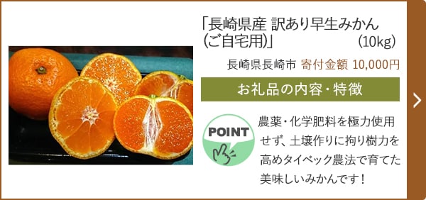 「長崎県産 訳あり早生みかん(ご自宅用)」(10kg)/長崎県長崎市 寄付金額 10,000円