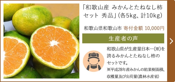 「和歌山産 みかんとたねなし柿セット 秀品」(各5kg、計10kg)/和歌山県和歌山市 寄付金額 10,000円