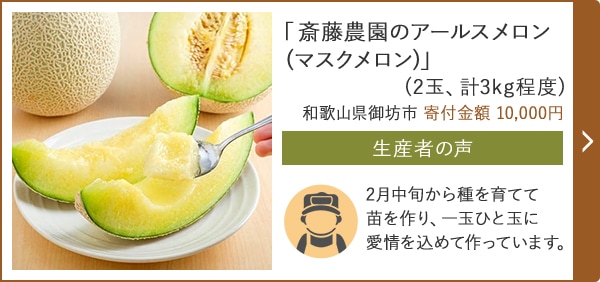 「斎藤農園のアールスメロン(マスクメロン)」(2玉、計3kg程度) 和歌山県御坊市 寄付金額 10,000円
