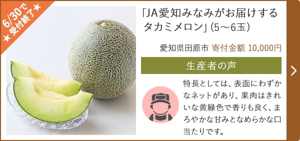 「JA愛知みなみがお届けするタカミメロン」(5～6玉)/愛知県田原市 寄付金額 10,000円